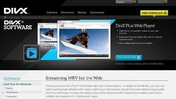DivX   Flash-  Adobe (09.12.2010)